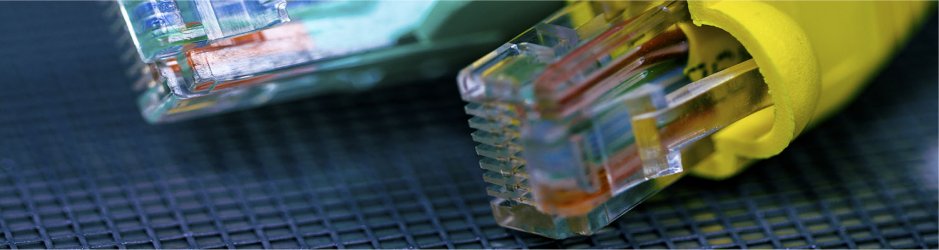 " Service Server & Network "